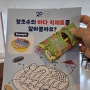 청초수물회 속초본점 대기 메뉴 내돈내산 솔직 후기