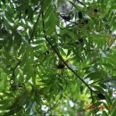 대암약수터 이미지