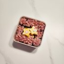 우리 악기와 떠나는 봄소풍 | 아이소풍 캐릭터 도시락 싸기 🍱 초간단 꽃김밥 곰돌이식빵 만들기 (유치원 소풍도시락 꿀팁)
