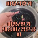 피망 | 이유식후기 피망/딸기/새송이/검은콩/파_돌이전아기딸기/검은콩손질/11개월아기이유식