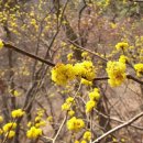 은혜동산 이미지