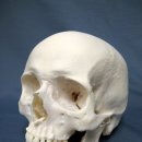 장현치과의원 이미지