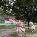 해지개캠핑장 | 영천임고강변 노지 캠핑장에서 첫피칭 한 아버베이커 텐트