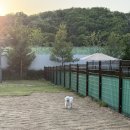여울공원 | 동탄여울공원 반려가족놀이터 이용 후기,,ꯁ / 애견동반 가볼만한 곳, 무료 애견놀이터 ꯁ