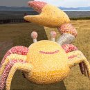 황토내음 이미지