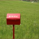 윤용하 농장 이미지