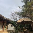 소소한향기 | 전주 - 전주 한옥마을 1인 게스트하우스 &lt;소소한 한옥&gt; 솔직후기