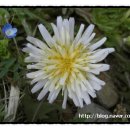 실로암세탁소 이미지