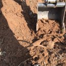 웨스트메도우 이미지