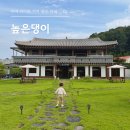 댕이랑 | 부여 아이와 가기 좋은 브런치 카페, 높은댕이 방문 후기