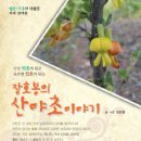 산야초 이미지