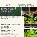 숲결 3,4 이미지