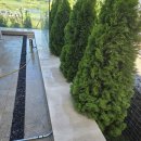 스페셜클린 이미지