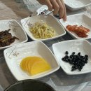 효천횟집 | [효천지구 맛집] 완도 활어/점심특선/내돈내산
