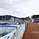 지세포친수공간 이미지