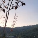 다불촌 독채민박 이미지