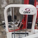 바디체인지 휘트니스 이미지