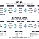 해적쭈꾸미