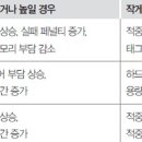 메모리 이미지