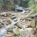 (신청중)🌿 8월 29일(토) 북한산 소귀천계곡~선운각 여름 트레킹 🌿 이미지