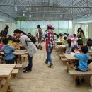 다밀어린이집 이미지