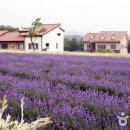 하늬농장 이미지