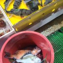 주문진좌판풍물시장 이미지