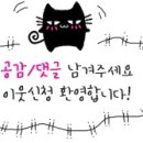 다모헤어 이미지