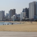 광안리 민락회센터 어디가야 할지 고민된다면? 경포상회 추천