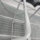 미르1급자동차공업사 이미지