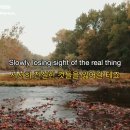 1월11일 일요일(음11월23일) Islands in the Stream-Dolly Parton &amp; Kenny Rogers 이미지