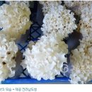 미래자원영농조합법인 이미지