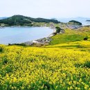솔숲민박 이미지