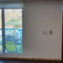 도그앤스테이 이미지