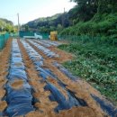 길잡이부동산공인중개사사무소 이미지