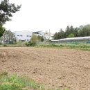 안산테콤길 이미지