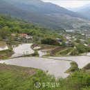 산내면 중황마을 이미지