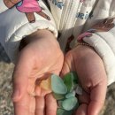 망양리 대게공원 | 울진 물회맛집 울산회식당에 다녀왔어요 :) [내돈내산]