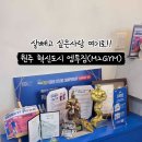 엠투짐(M2GYM) 이미지