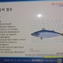 총동창회 창립총회 겸 효운동 구포시장에서........(2012.3.1.) 이미지