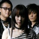 낭만고양이 이미지