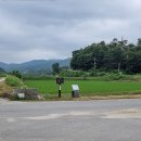 일신천 이미지