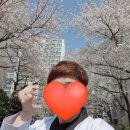 용인대 장안 태권도 이미지