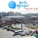 600004 이미지