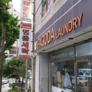 파고다 명품세탁 이미지