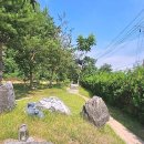 나의 강아지에게 | 사랑하는 나의 작은 천사, 강아지장례식장 후기부터 시설 정보까지 꼼꼼하게 살펴봐요