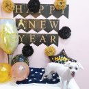 왈왈이발소 이미지