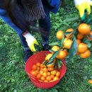 알앤비타운 이미지