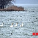 동림농장 이미지