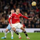 그린우드 이미지